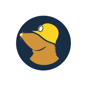 Mullvad Browser