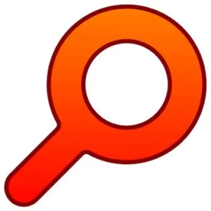 Everything software logo